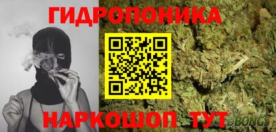 гидропоника Балашиха