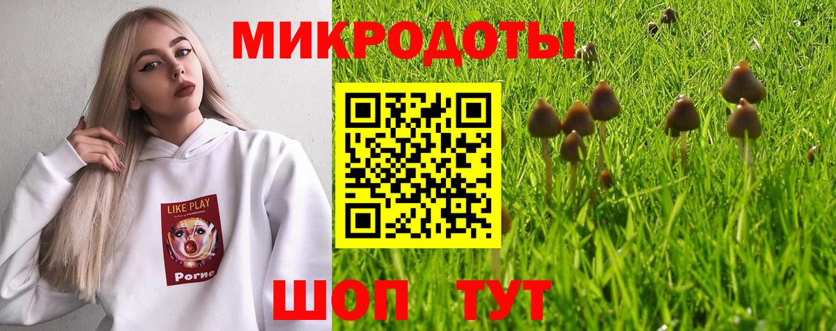 Галлюциногенные грибы MAGIC MUSHROOMS Владивосток