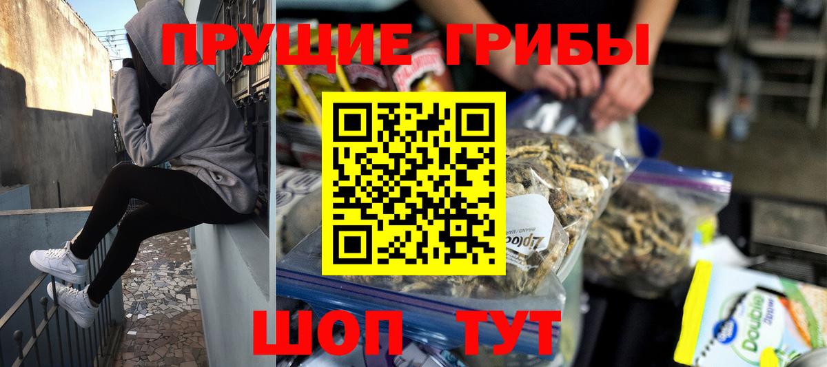 магазин продажи наркотиков  Владивосток  Галлюциногенные грибы мицелий 