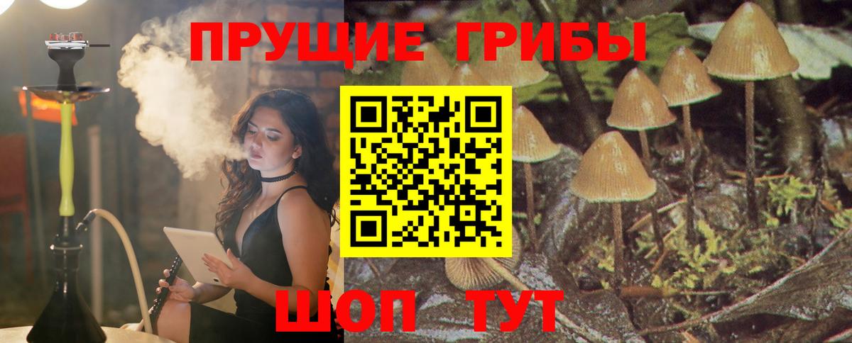 Codein Владивосток