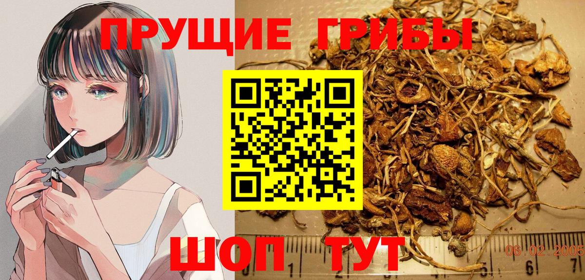 Псилоцибиновые грибы ЛСД Владивосток